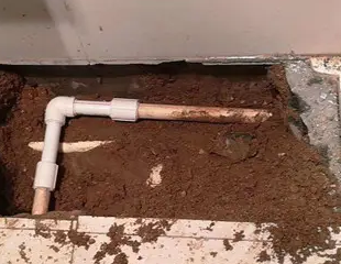 蓬莱测漏水哪家好