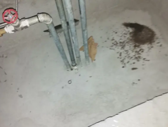 蓬莱卫生间测漏水价格明细